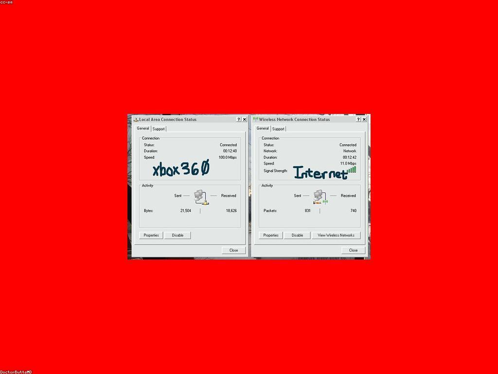 ភាពជោគជ័យរបស់អ្នកថ្មី