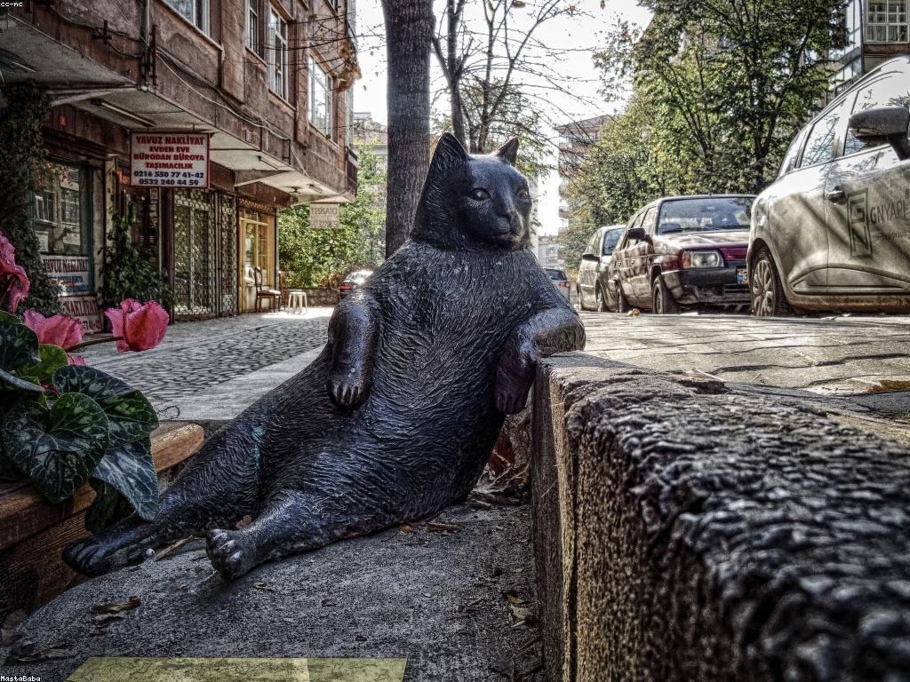 ភាពជោគជ័យរបស់អ្នកថ្មី