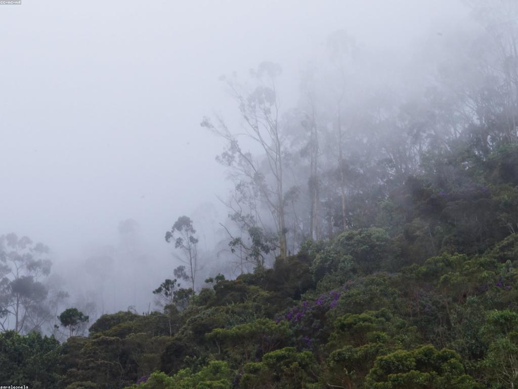 មគ្គុទេសក៍សម្រាប់អ្នកថ្មី