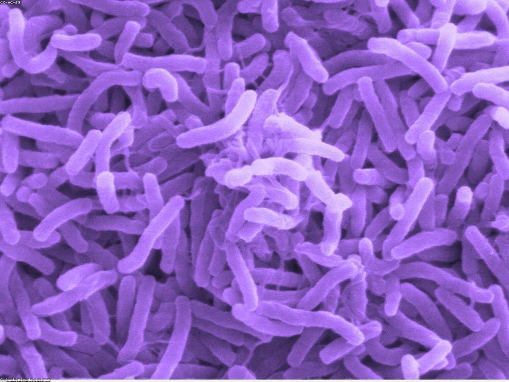 យុទ្ធសាស្ត្រដើម្បីជោគជ័យសម្រាប់ការកសាងអភិវឌ្ឍន៍ខ្លួន