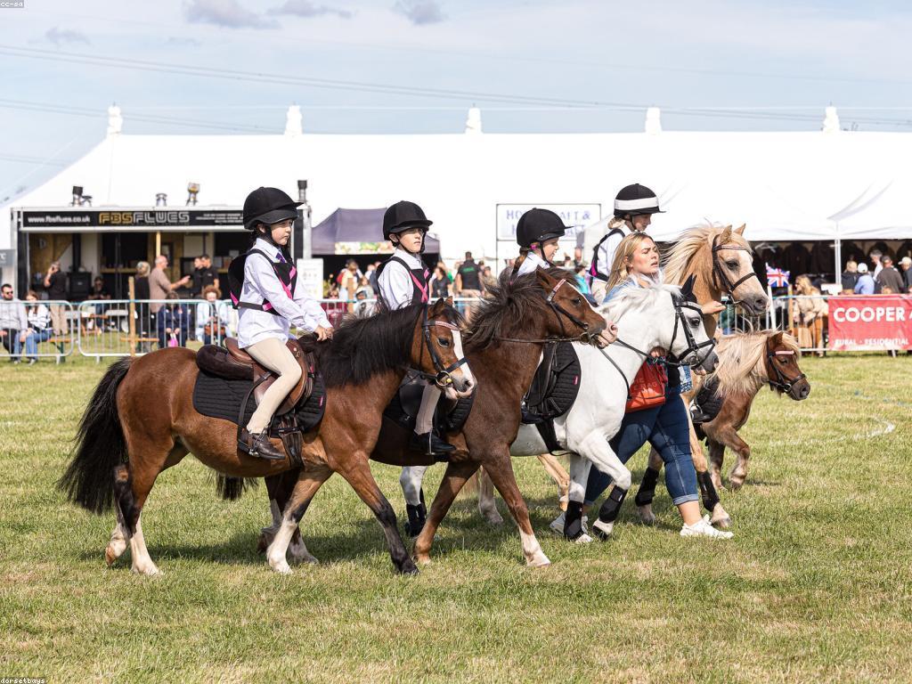 ការយល់ដឹងអំពីការប្រកួតនិងរង្វាន់